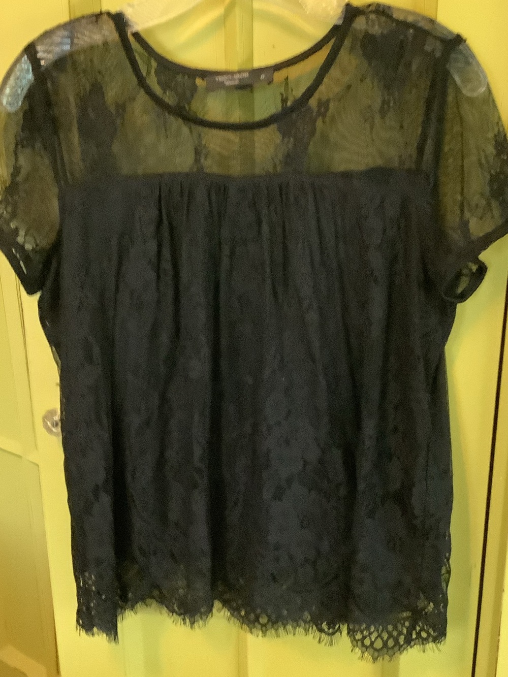 Black Lace Short Sleeve Blouse with Sheer Yoke